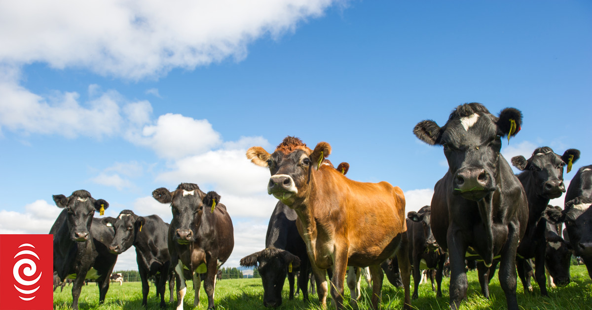 Efforts to create methane vaccine bolstered - Vimarsana News