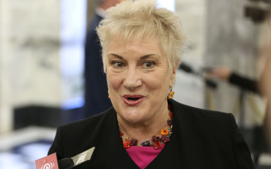 Labour Party MP Annette King at a media standup after the release of Budget 2016.