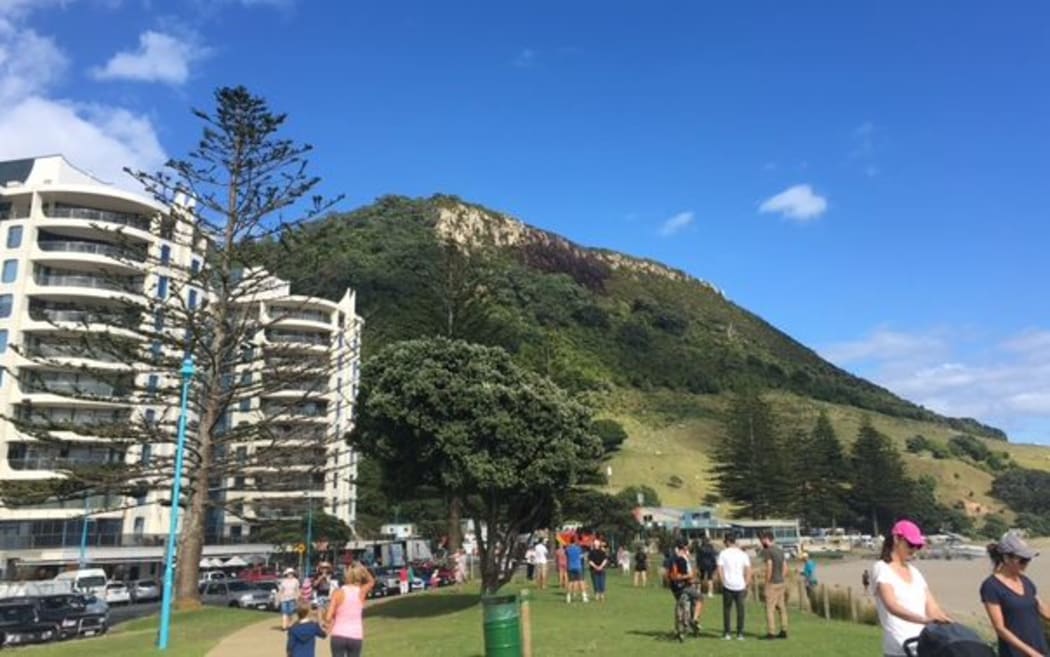 Mount Maunganui showing after effects of fire.