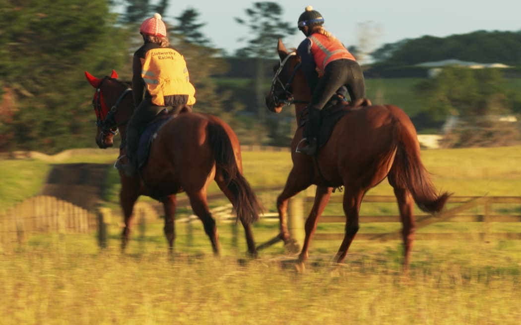 There is a shortage of jockeys in New Zealand which has led to increased efforts to invest in apprentice jockeys.
