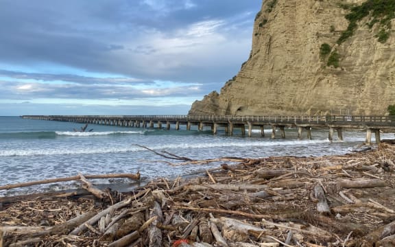 Woody debris littered Tolaga Bay/Ūawa beach on Wednesday - the same day the panel undertaking an independent inquiry into forestry slash and land use went to the East Coast town to hear first-hand from locals about the fallout from recent storm events.