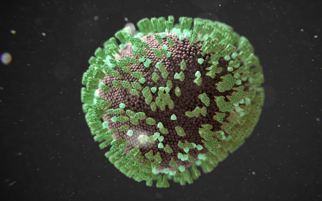 Illustration of a measles virus, a highly contagious pathogen responsible for measles infections. (Photo by THOM LEACH / SCIENCE PHOTO LIBRA / TLE / Science Photo Library via AFP)