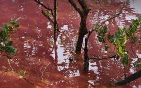 Paihia paint dumping.
