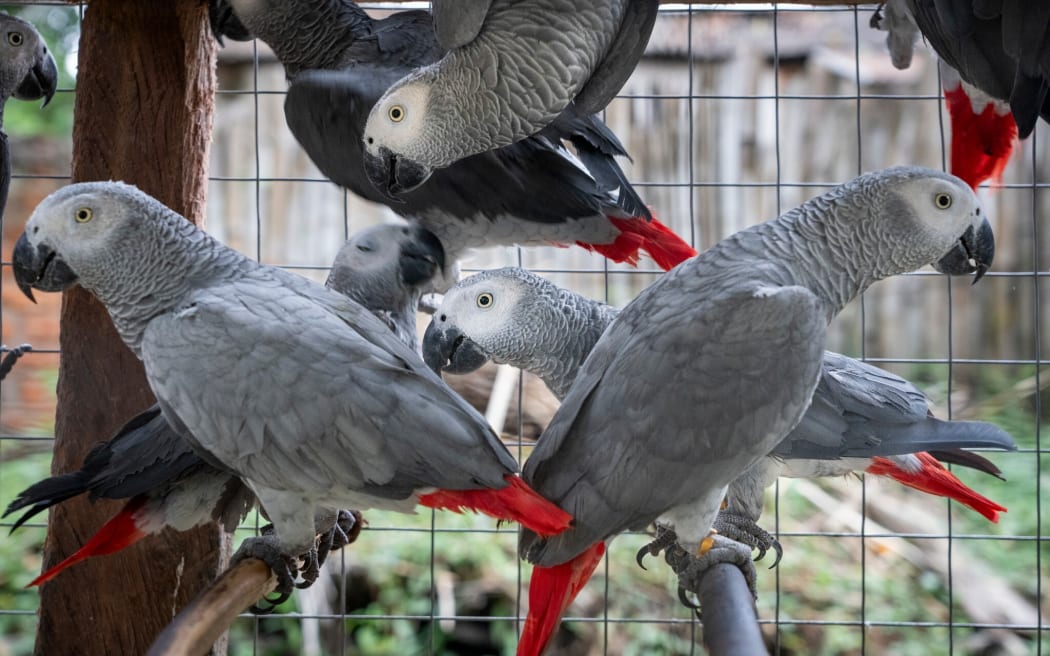 Karine Aigner for WILDLIFE INVESTIGATIVE REPORTERS & EDITORS, a nonprofit journalism organization exposing wildlife crime and exploitation of nature.