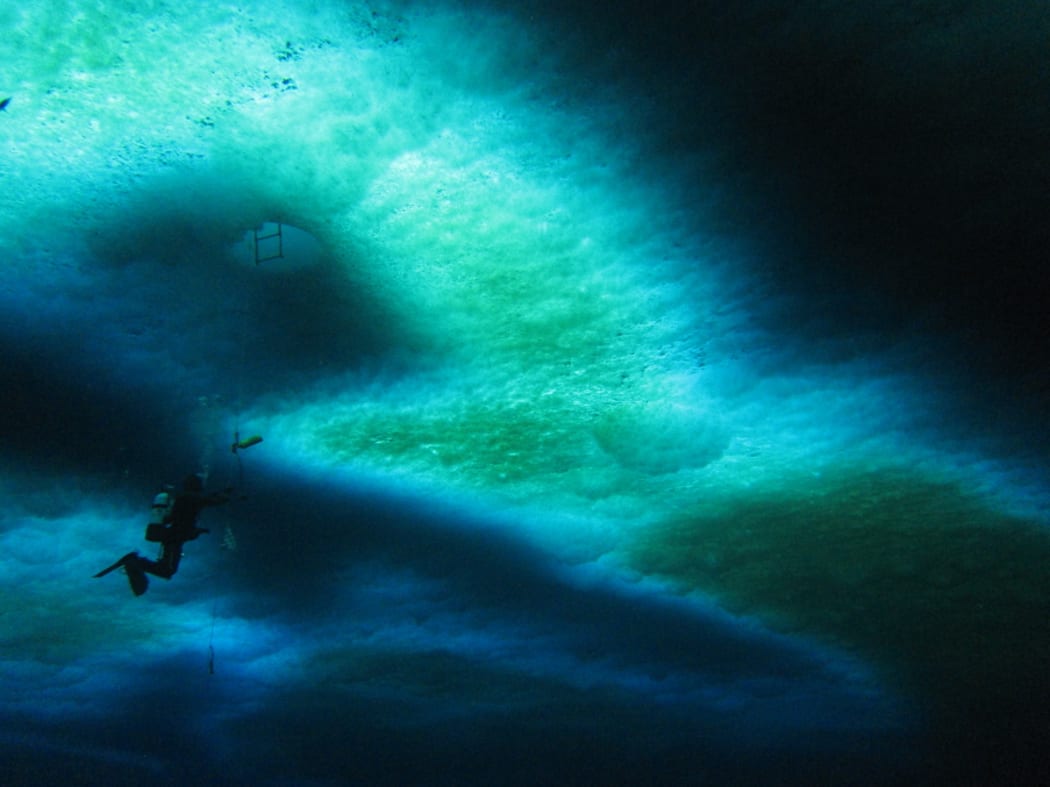 Less than one percent of ambient light makes it through the sea ice but it is enough to trigger a bloom of ice algae in spring. Snow on the ice surface creates the darker patches.