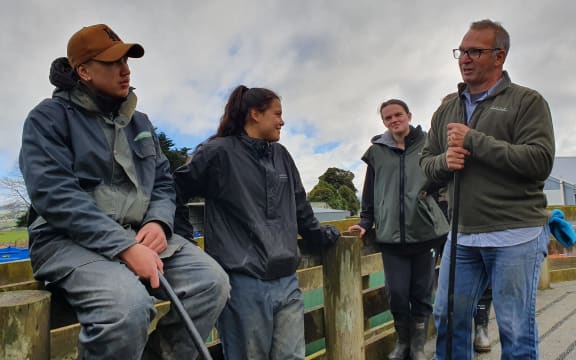 Tutor Joe Steventon goes over how to handle the stock safely before they bring the bulls in to be weighed