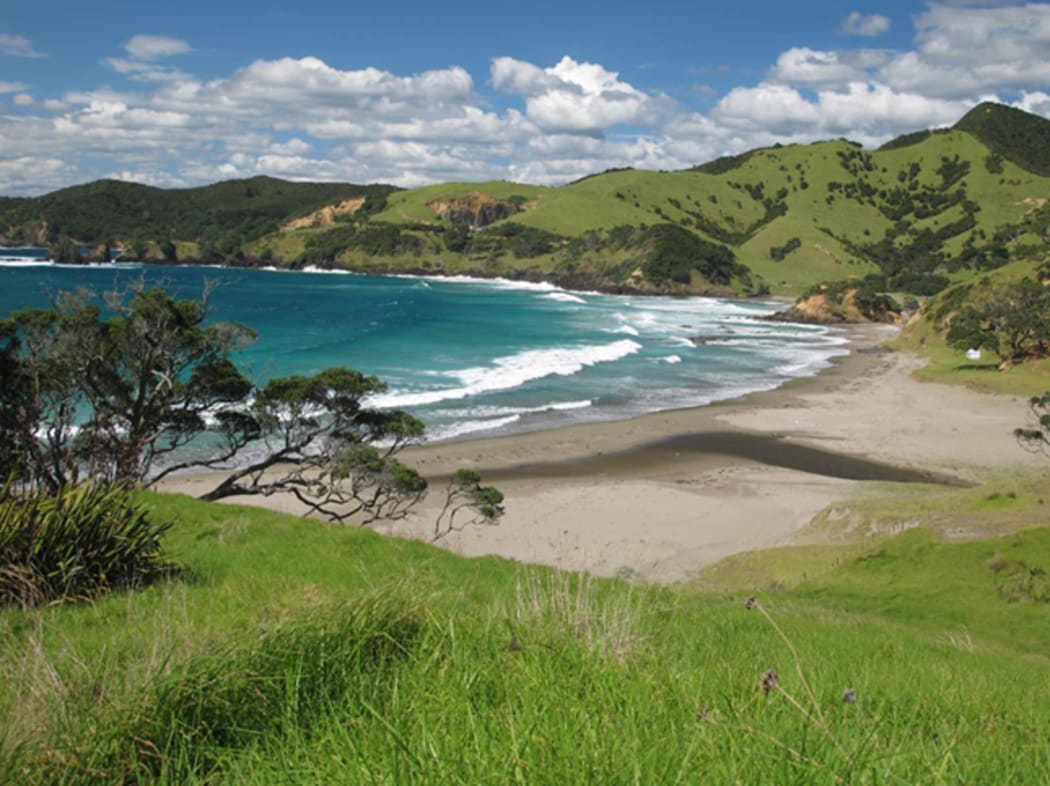 Elliot Bay, Northland