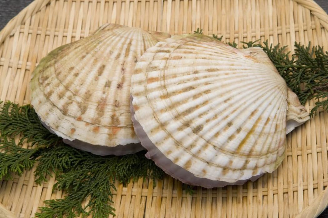 Scallops (file photo).