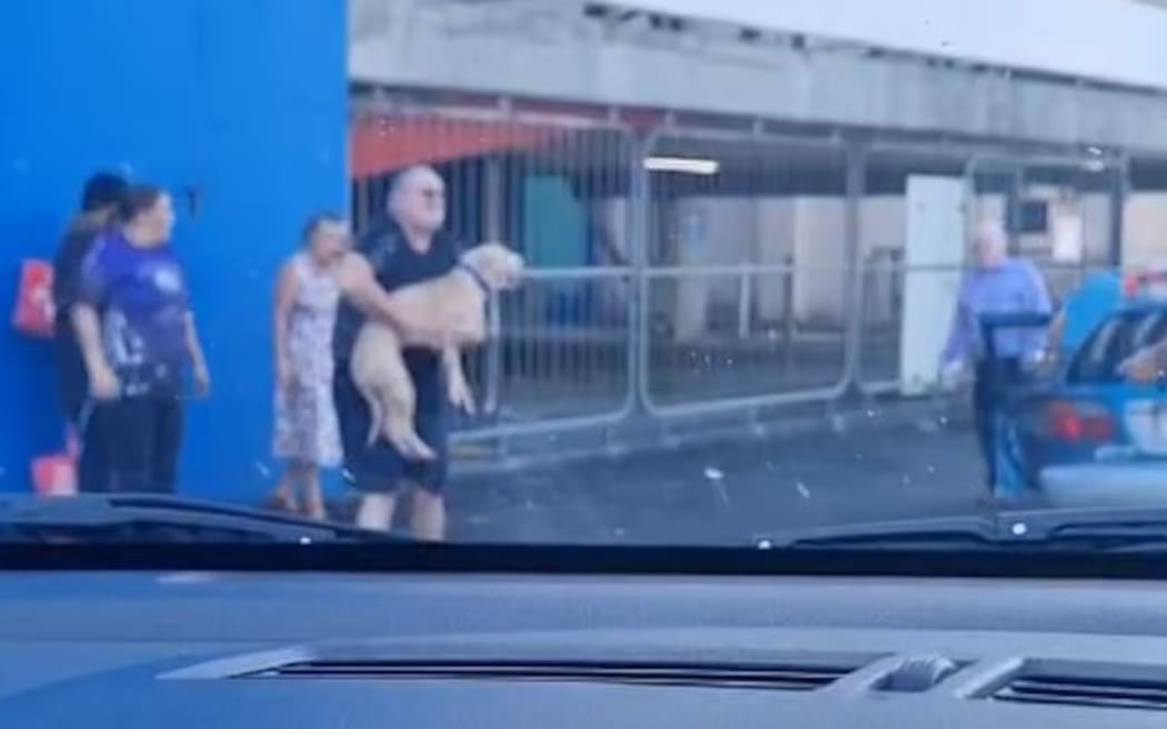 A member of the public can be seen holding David Allan Devenport's dog, after she had been dragged along the road. This member of the public took the dog straight to the vet for emergency treatment.