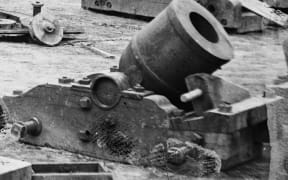 A Siege Mortar cannon