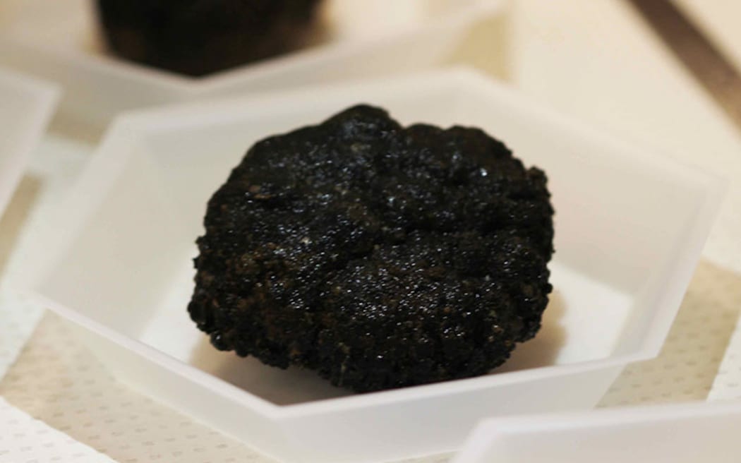 Manganese nodules: at the size of large potatoes, these are tens of millions of years old.