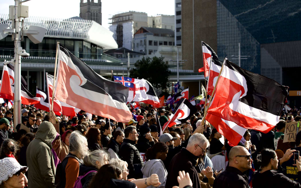 Protestors gather in Auckland's Aotea Square