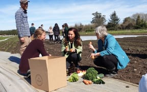 Green Party co-leader Marama Davidson trying out the produce at an organic farm in Leeston on 12 September, 2020.