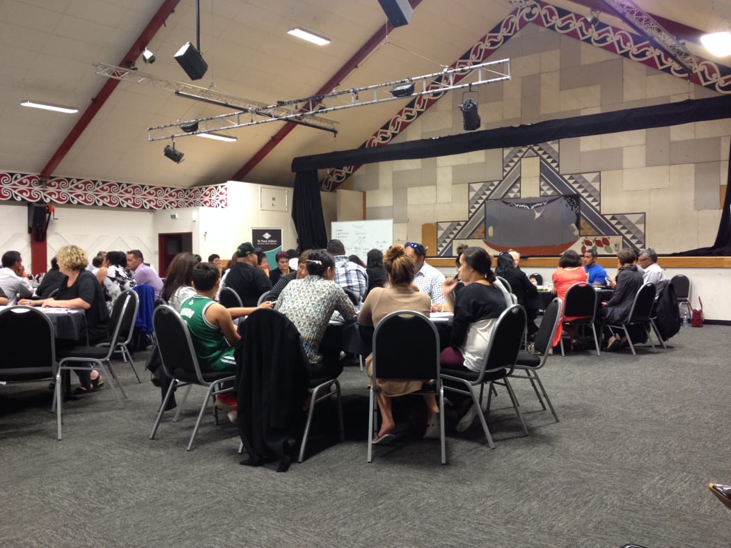 Minister for Maori Development Te Ururoa Flavell has been holding a series of regional hui.