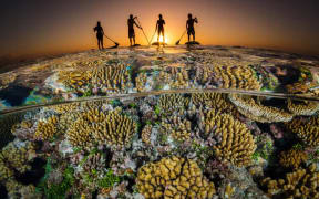 The UN High Seas Treaty has officially received over 60 ratifications and will become international law in January 2026.

Photo/Ocean Image Bank/Grant Thomas