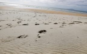 Pakiri sand
