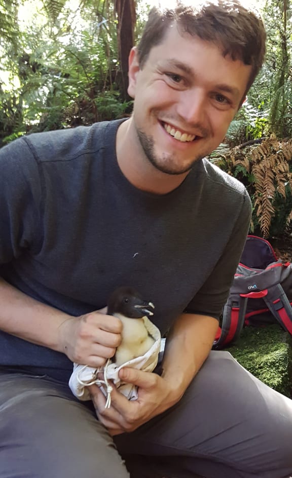 Jeff White holds a tawaki chick.
