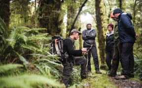 Fiordland’s Hollyford Wilderness Experience has been included in the top ten percent of all Trip Advisor experiences worldwide.