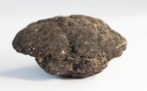 Polymetallic nodules from 5000m depth of Pacific ocean