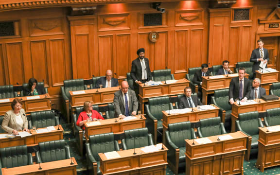 National MPs filibustering during a prior bill's committee stage in an attempt to prevent the Death with Dignity Bill from reaching the floor.