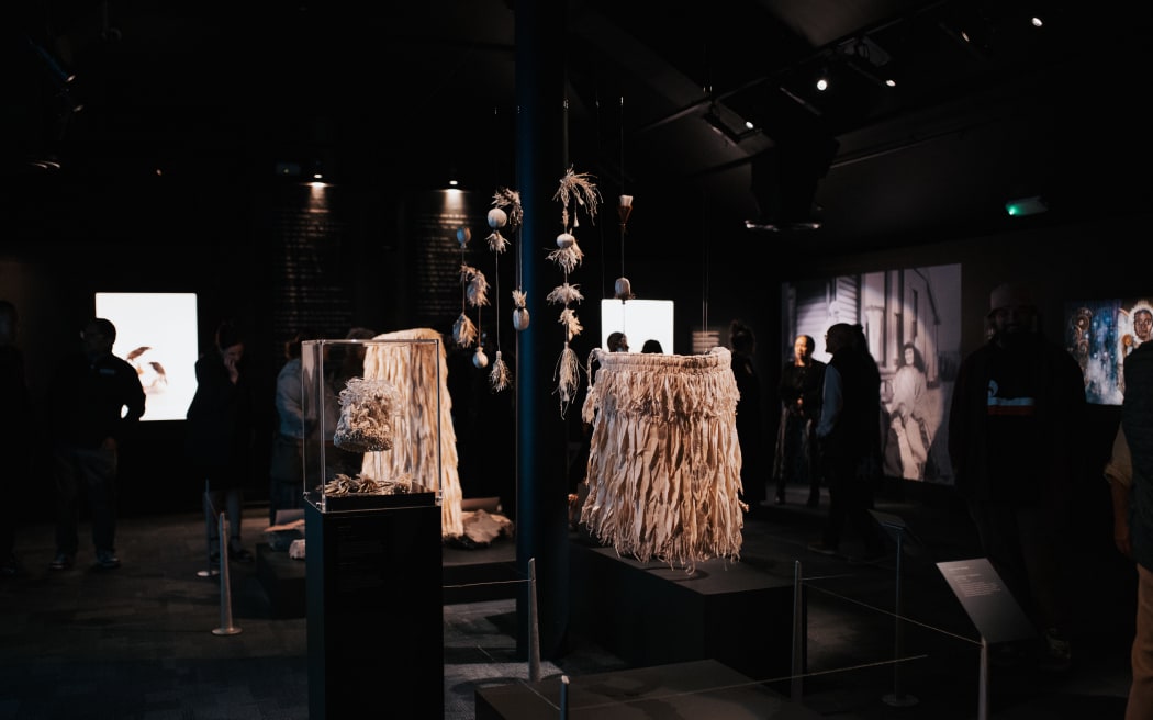 A temporary exhibition dedicated to the mountain daisy Tīkumu is open at Nelson Provincial Museum until July 2026.