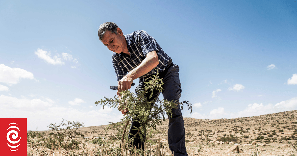 Agronomist Tony Rinaudo Wins 2025 Luxembourg Peace Prize for Pioneering Reforestation in Niger