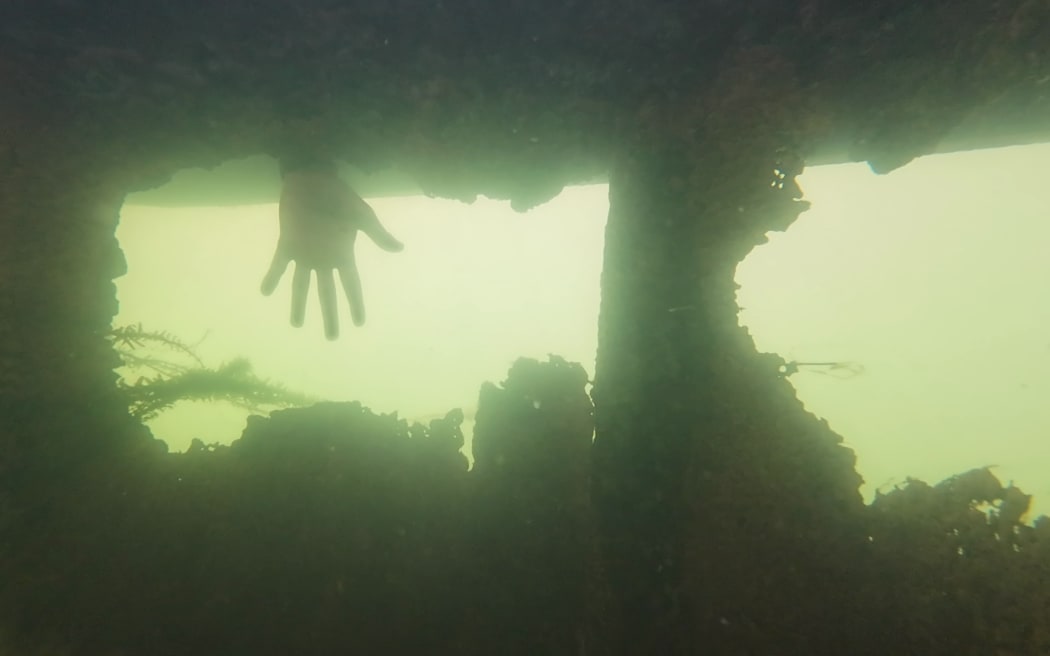 The Ōhau channel diversion wall was built in 2008 to divert polluted nutrient-rich water from Lake Rotorua, which otherwise flowed into Lake Rotoiti through a small channel, but critics say holes from corrosion allows water through.