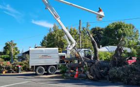 Unison workers fixing power lines in Maraenui, Napier, 20 February 2023.