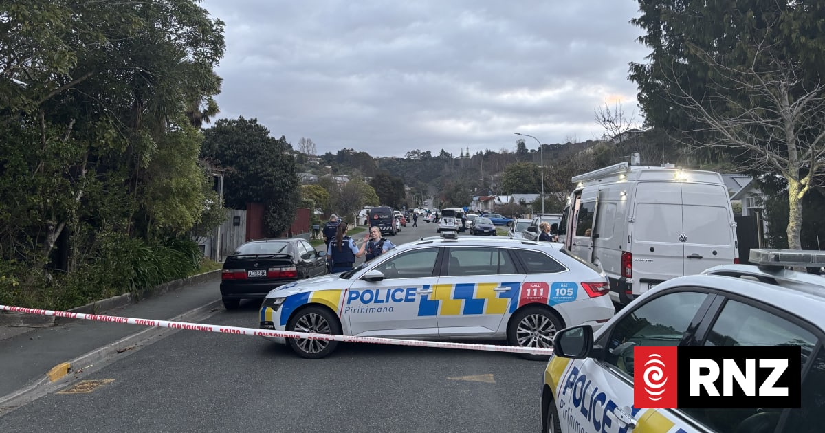One person arrested after armed police attend Nelson incident