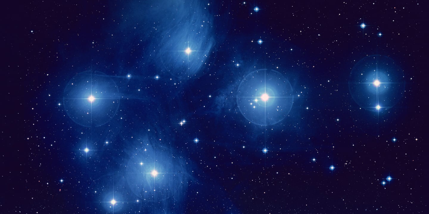 Graphic for Matariki Morning