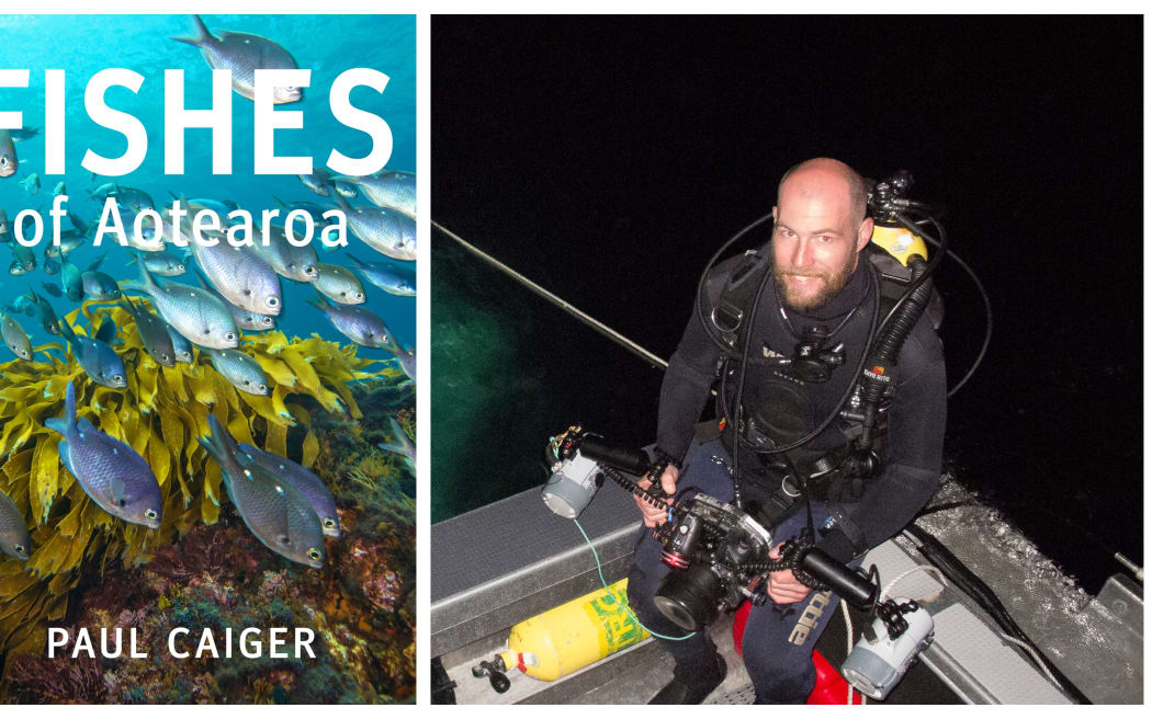 Marine ecologist Paul Caiger has recently published a book celebrating fish life in New Zealand.