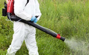 Worker in protective workwear in weed control, spraying ambrosia