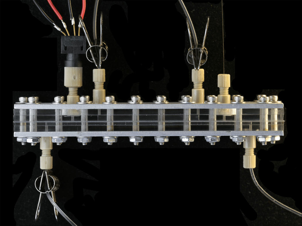 Pump based on tree's vascular system