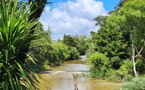 A search operation continues at Mahurangi River in Warkworth after a man and his car were washed away in floodwaters earlier this week.