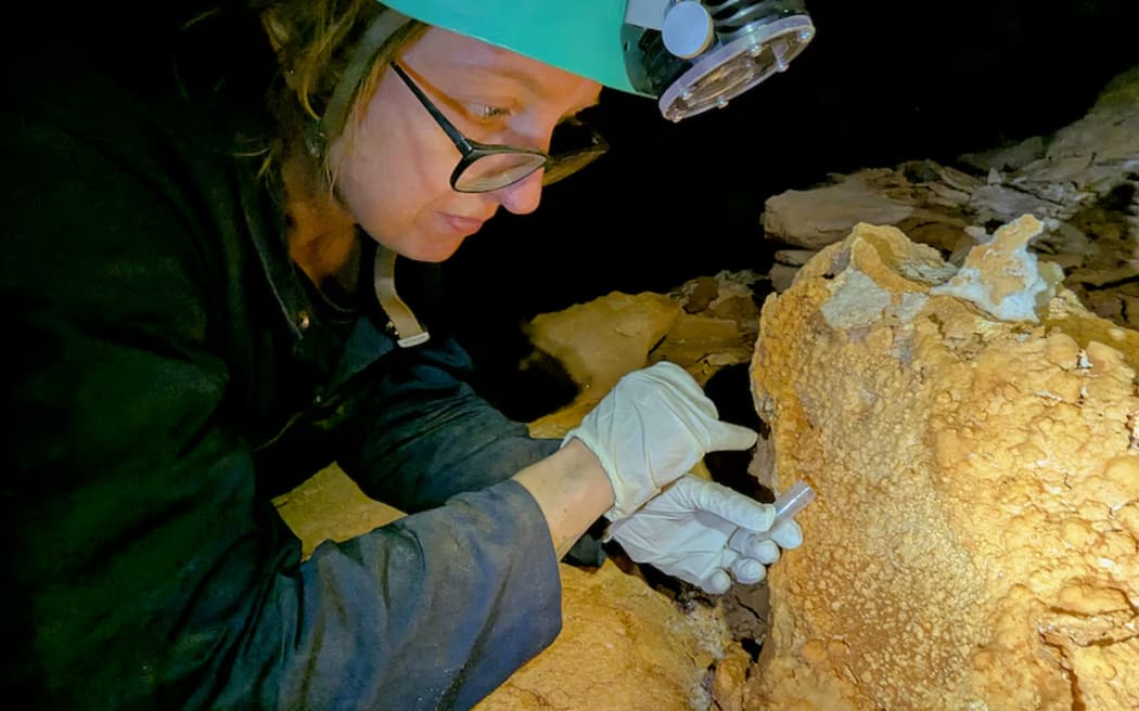 University of Adelaide entomologist and arachnologist Jess Marsh collecting samples in a Nullarbor cave.