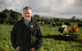 Miles Hurrell Chief Executive Officer