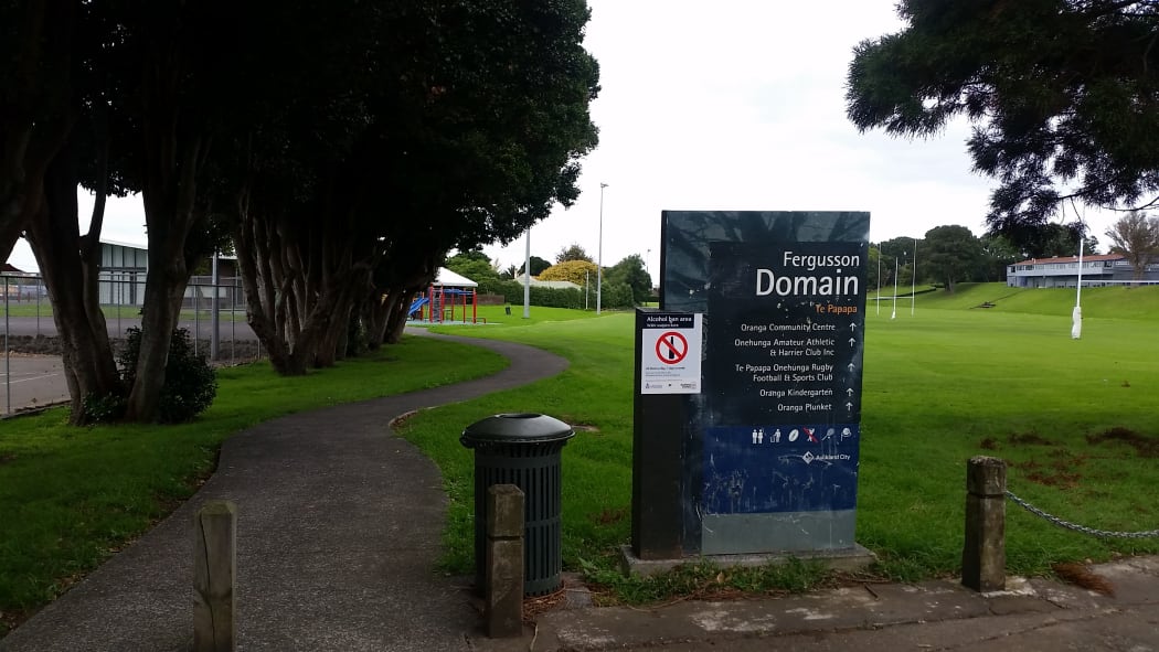Fergusson Domain, Onehunga