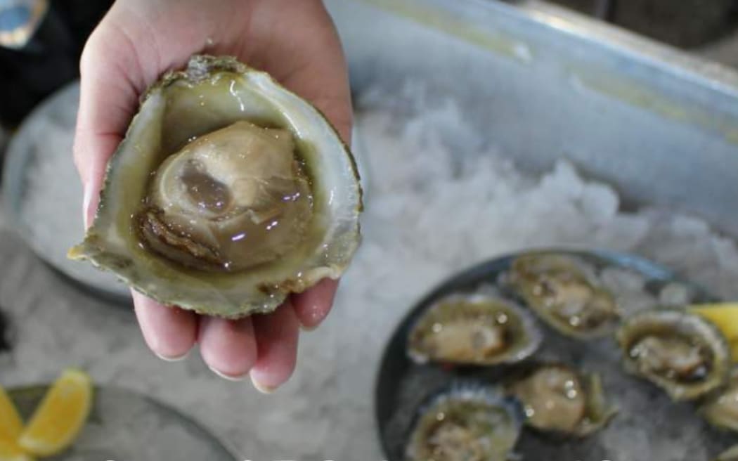 Bluff oysters