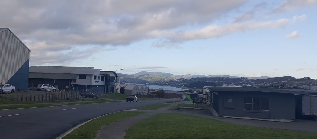 Porirua Harbour, in the distance, is at the receiving end of all freshwater runoff in the catchment, including urban wastewater runoff from houses and roads.