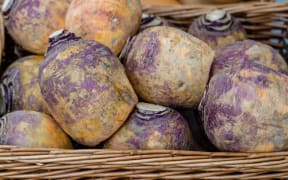 A basket of swedes