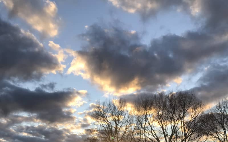 New Zealand Experiences Third-Warmest Winter on Record