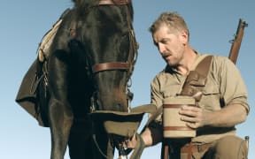 WW1 soldier feeding a horse
