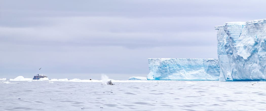 A ship and a humpback whale near to the edge of A68a, the world's biggest iceberg, in March 2020.