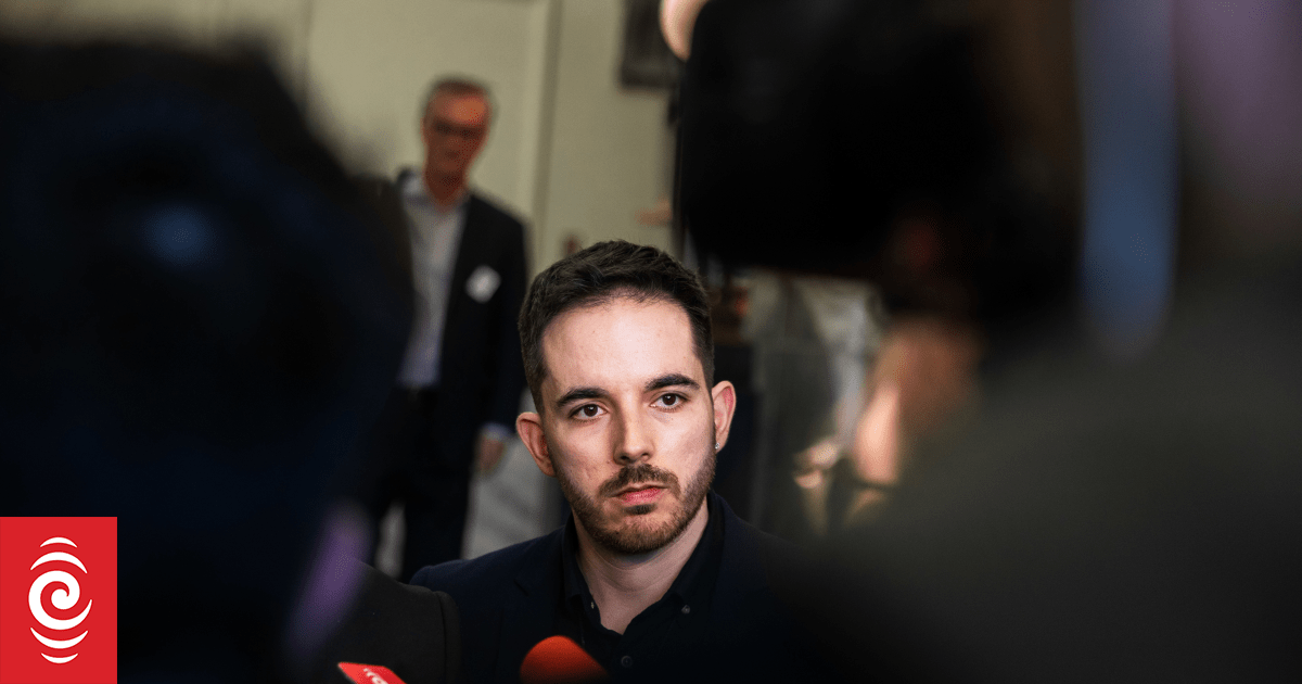 Greens critical of government's traffic-light system for beneficiaries