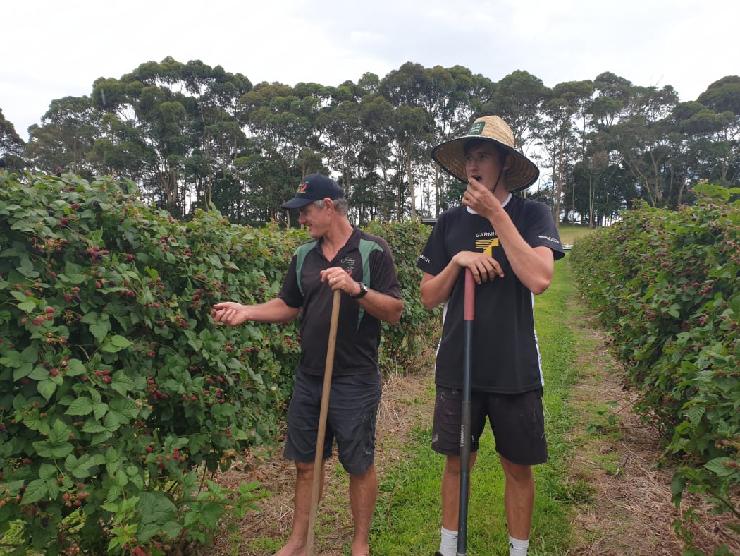 Julians Berry Farm owner and manager Paul Julian and a staff member.