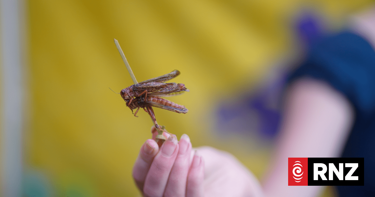 The West Coast's annual celebration of wild foods | RNZ