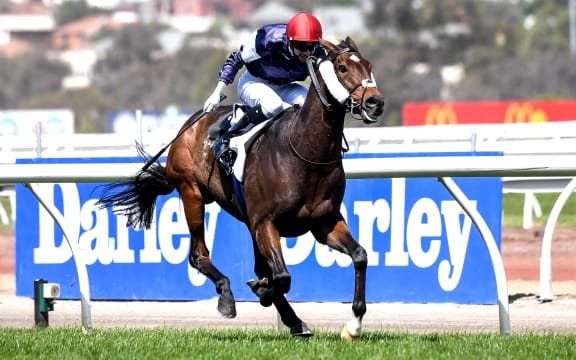 Melbourne Cup 2020 winner Twilight Payment ridden by Jye McNeil at Flemington Racecourse.