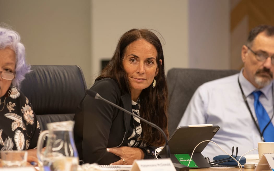 Councillor Kat Macmillan said the 25% fare increase was too big a jump. Photo / John Borren