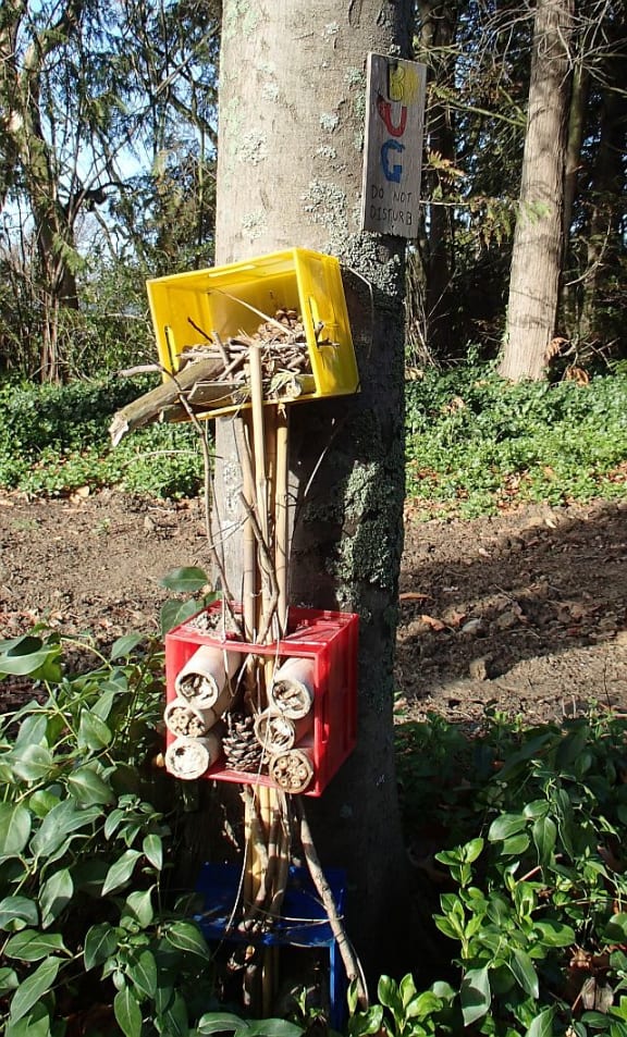 Brightly-coloured three level bug hotel on a tree trunk. This Bug Hotel had a 'do not disturb' sign, but ironically all the surrounding trees had been cut down. Rob Cruikshank thought the Bug Hotel and its tree had been spared.