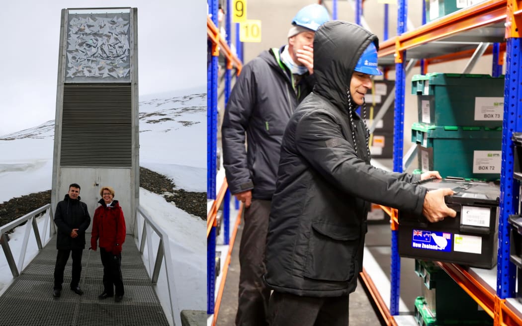Image of Kioumars Ghamkar depositing seeds at the Svalbard Global Seed Back.
